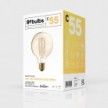 Bombilla LED Dorada Carbón Line Filamento Largo Globo G95 7W 640Lm E27 2700K Regulable - C55