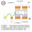 Kit de conexión WAGO compatible con cable 2x para Rosetón de 7 agujeros