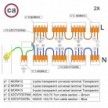 Kit de conexión WAGO compatible con cable 2x para Rosetón de 11 agujeros