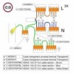 Kit de conexión WAGO compatible con cable 3x para Rosetón de 6 agujeros