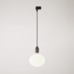 Track pendant lamp with wooden lamp holder