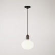 Track pendant lamp with wooden lamp holder