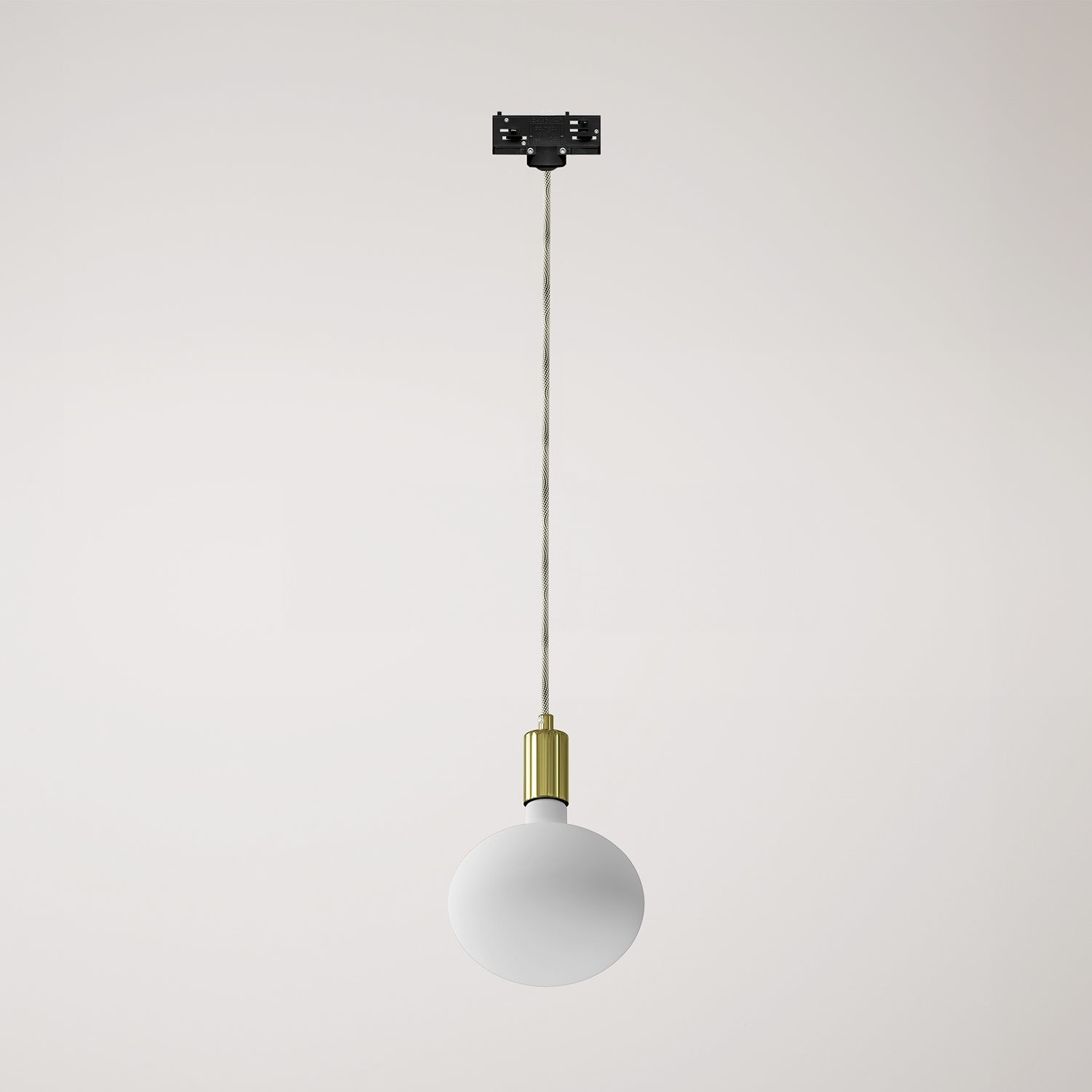 Metal track pendant lamp with contrasting finish