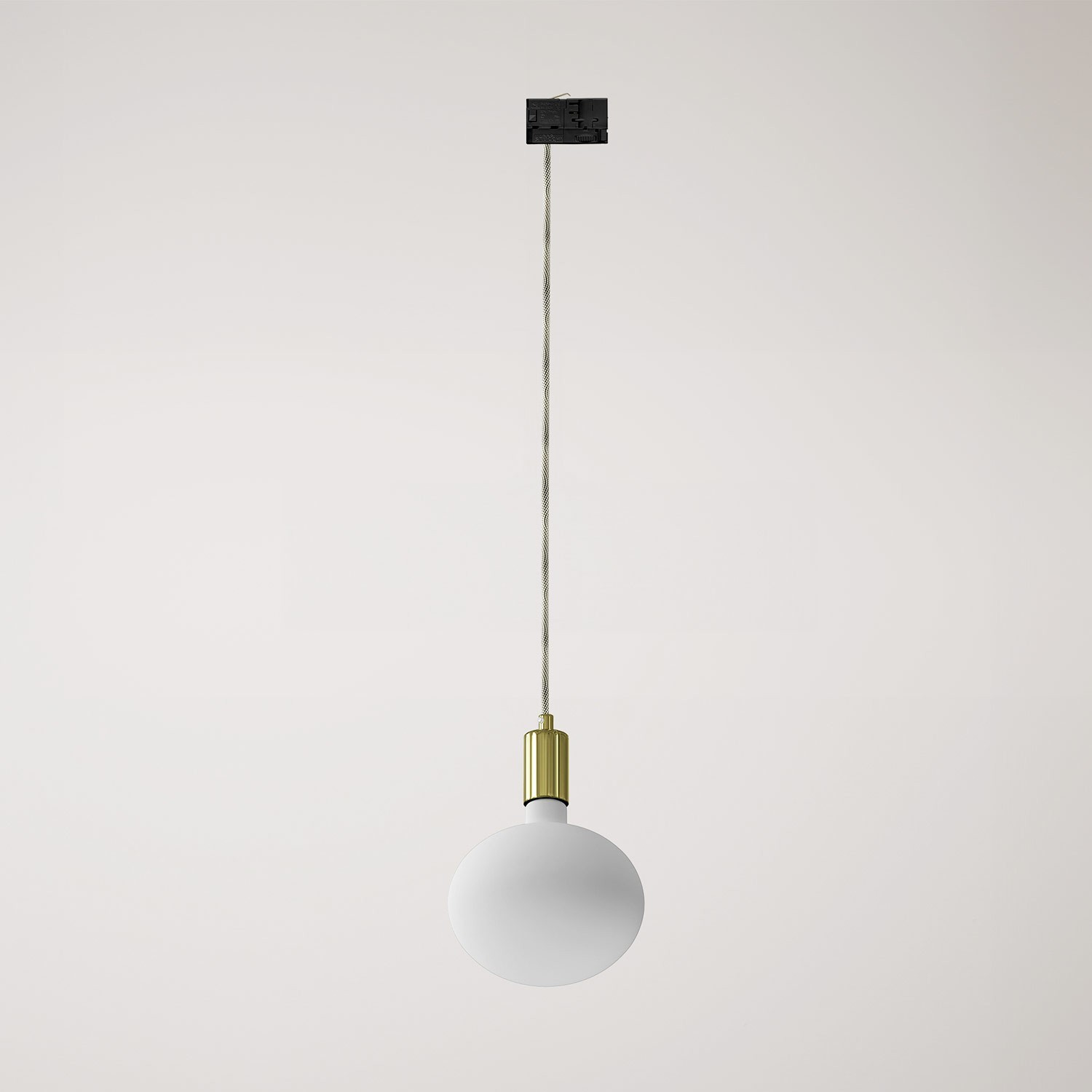 Metal track pendant lamp with contrasting finish