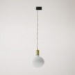 Metal track pendant lamp with contrasting finish