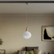 Metal track pendant lamp with contrasting finish