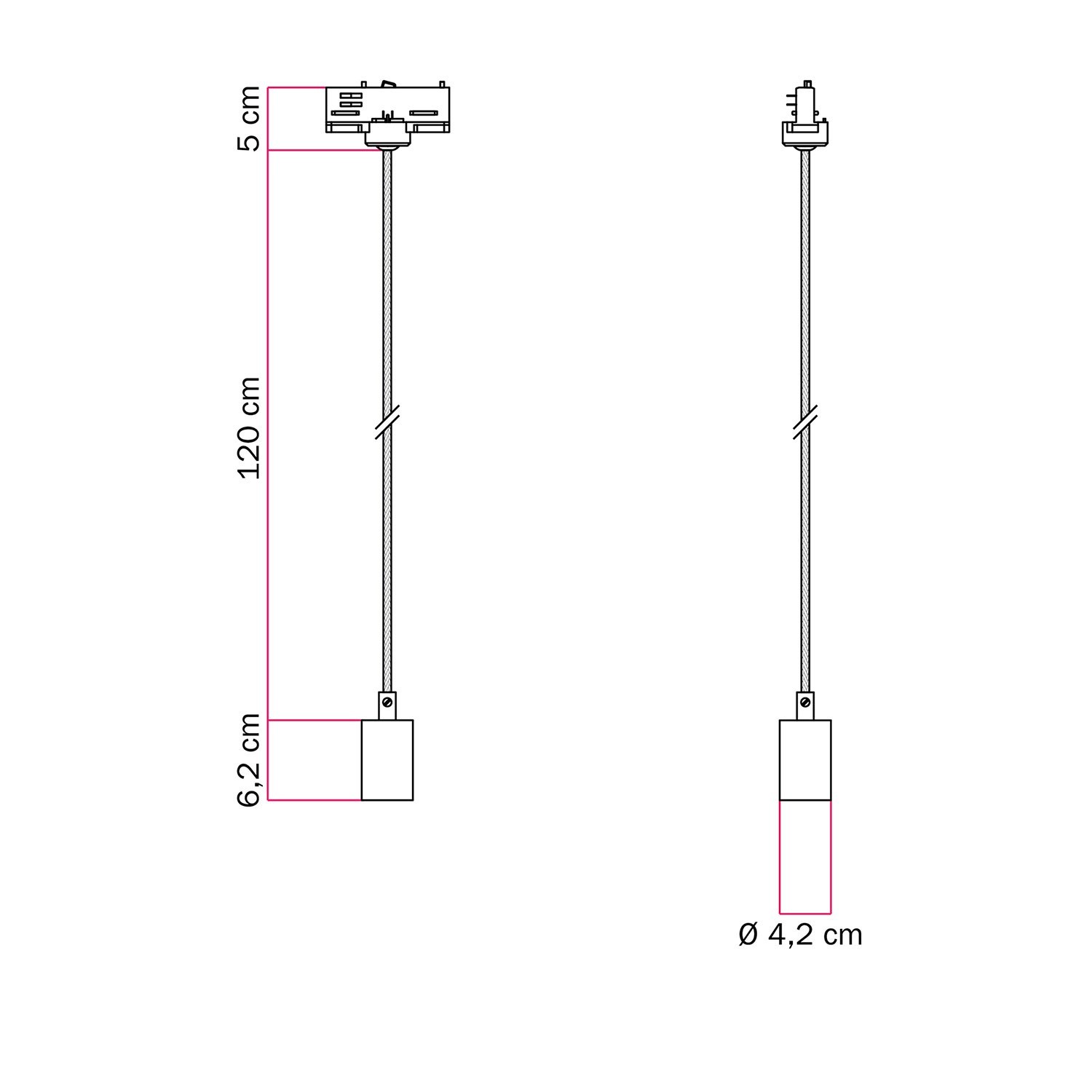 Metal track pendant lamp with contrasting finish