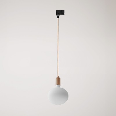 Metal track pendant lamp with contrasting finish