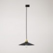 Pendant lamp with Swing shade for tracks