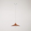 Pendant lamp with Swing shade for tracks