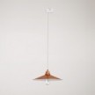 Pendant lamp with Swing shade for tracks