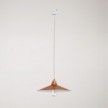 Pendant lamp with Swing shade for tracks