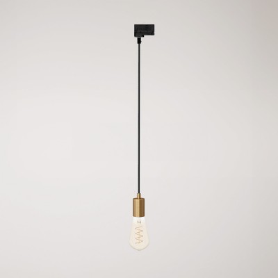 Pendant lamp with satin metal track trim