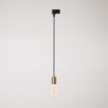 Pendant lamp with satin metal track trim