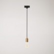 Pendant lamp with satin metal track trim