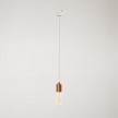 Pendant lamp with satin metal track trim