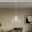 Dome pendant lamp for tracks