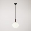 Track pendant lamp with wooden lamp holder