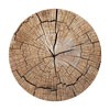 Tree Trunk